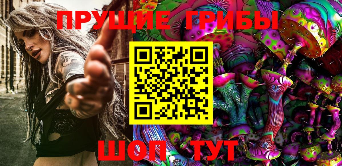 Галлюциногенные грибы GOLDEN TEACHER  Вход с VPN  купить наркотики сайты  Ленинск-Кузнецкий  Псилоцибиновые грибы ЛСД 